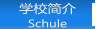 学校简介 Schule