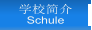 学校简介 Schule