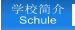 学校简介 Schule